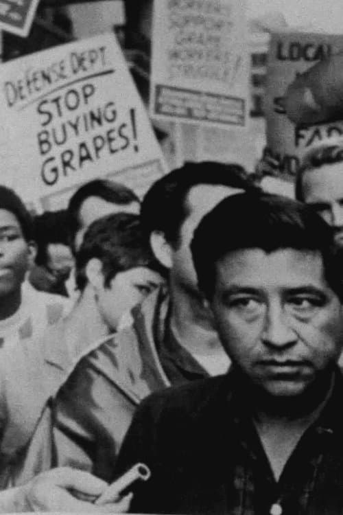 Poster for Stop Buying Grapes