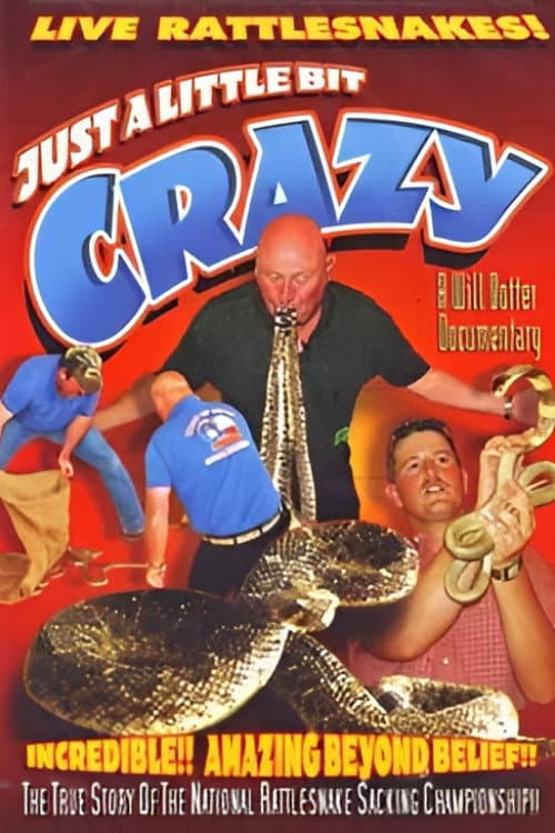 Poster for Just a Little Bit Crazy