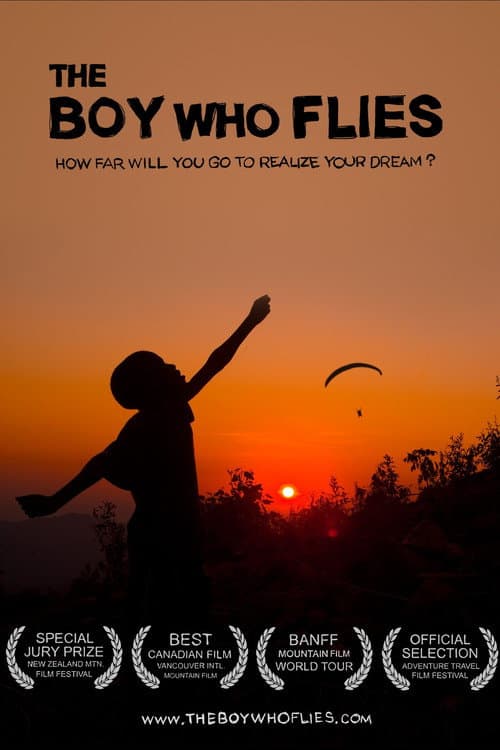 Poster for The Boy Who Flies