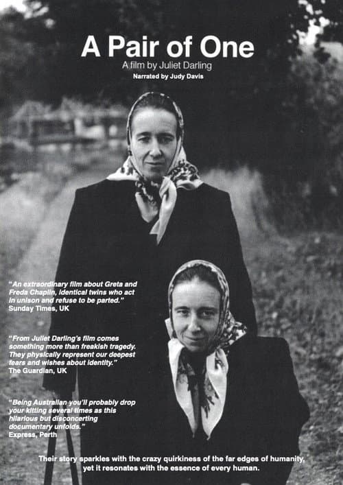 Poster for A Pair of One