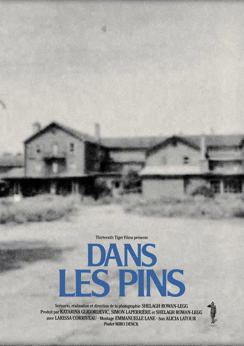Poster for Among the Pines