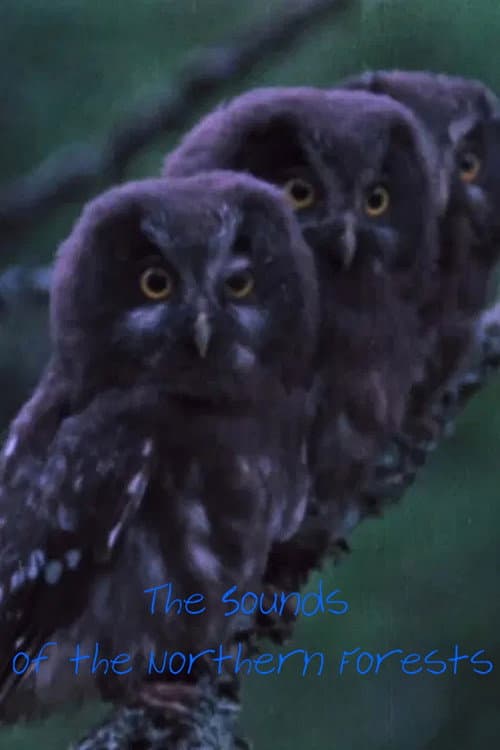 Poster for The Sounds of the Northern Forests
