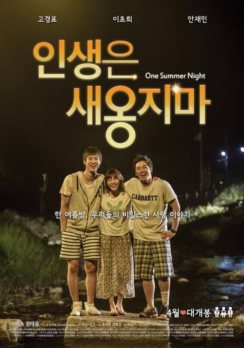 Poster for One Summer Night