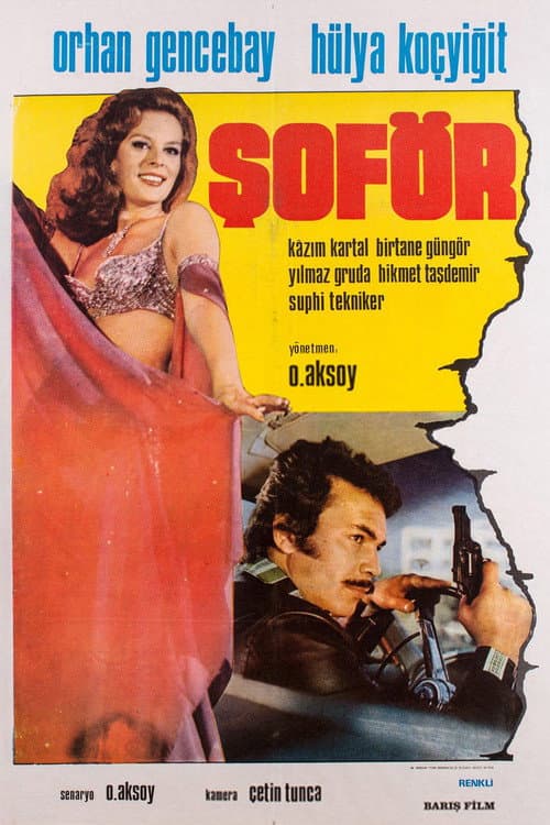 Poster for Şoför