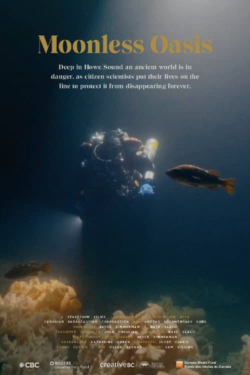Poster for Moonless Oasis