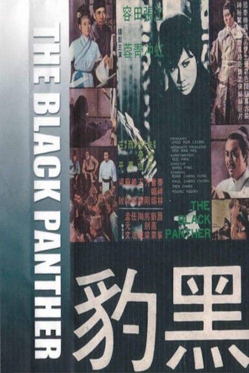 Poster for The Black Panther
