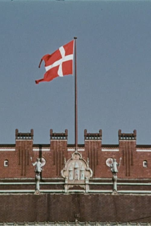 Poster for Red and White