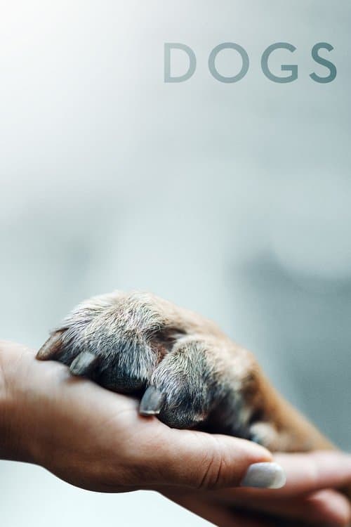 Poster for Dogs