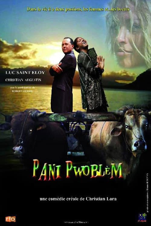 Poster for Pani pwoblem