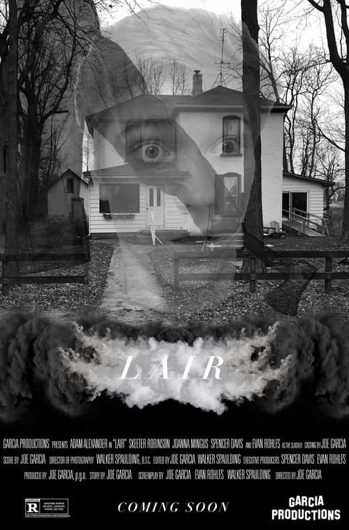 Poster for LAIR