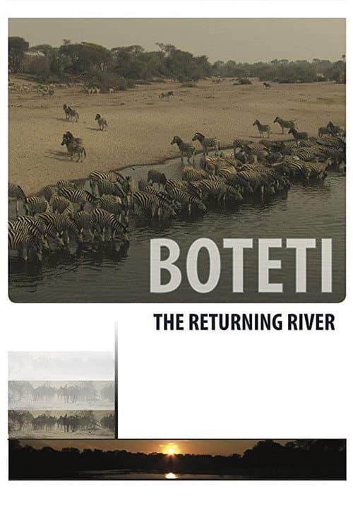 Poster for Boteti: The Returning River