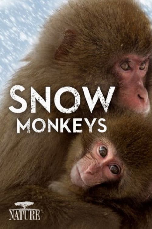 Poster for Wild Japan: Snow Monkeys