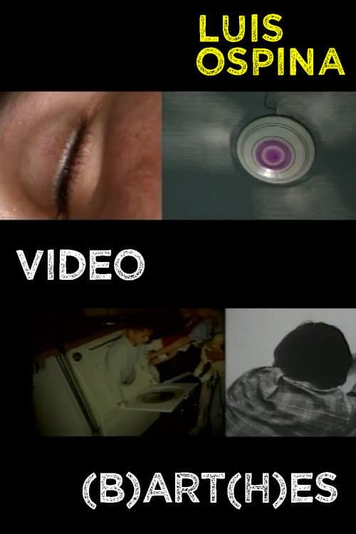 Poster for Video (B)art(h)es