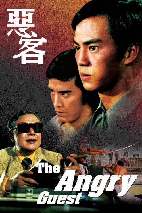 Poster for The Angry Guest