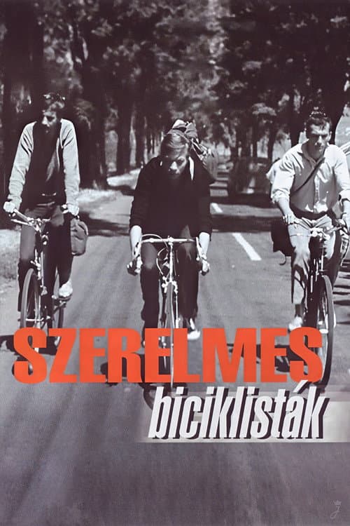 Poster for Cyclists in Love