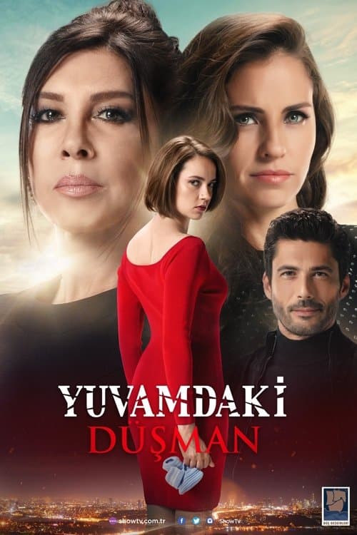 Poster for The Enemy in My House