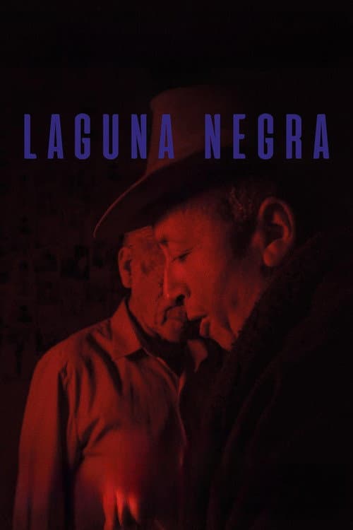 Poster for Laguna negra