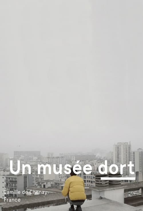 Poster for A Museum Sleeps