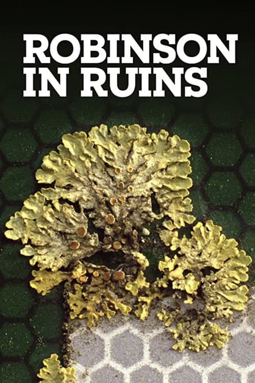 Poster for Robinson in Ruins
