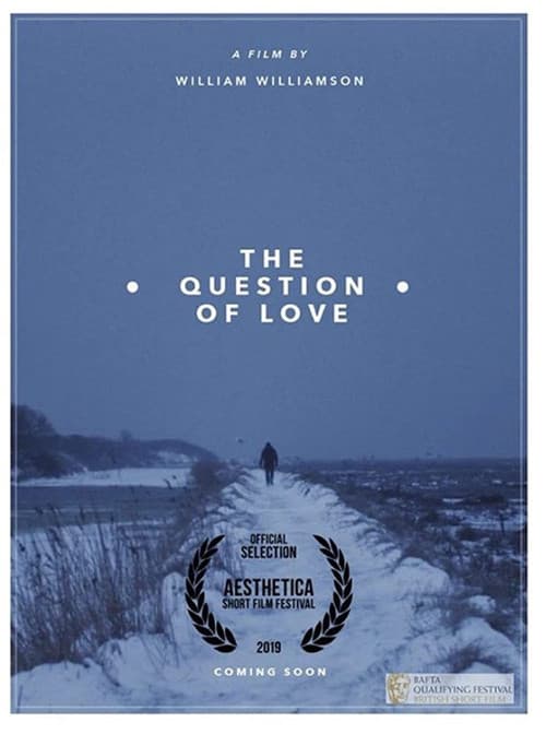 Poster for The Question of Love