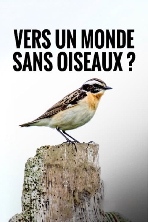 Poster for Towards a World Without Birds