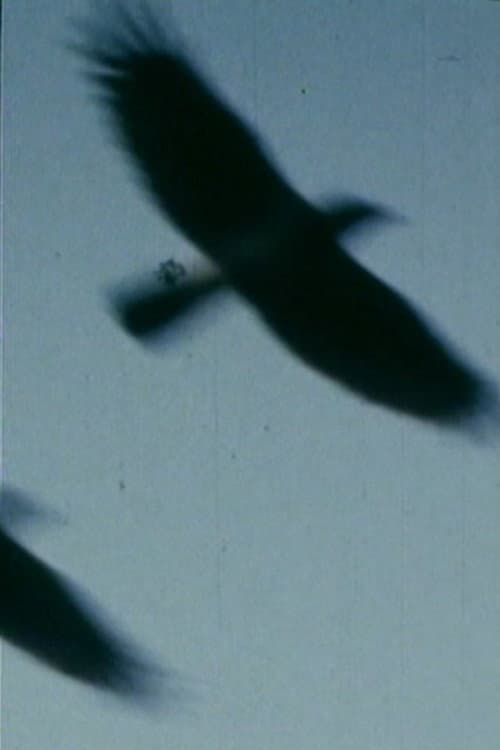 Poster for Tell Me