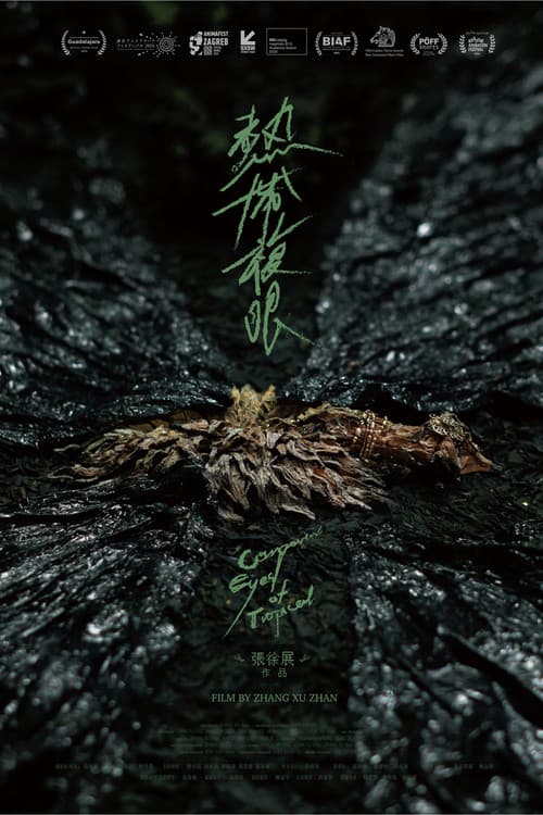 Poster for Compound Eyes of Tropical