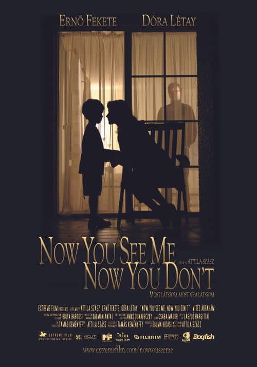Poster for Now You See Me, Now You Don't