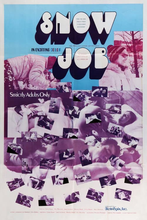 Poster for Snow Job