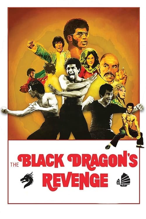 Poster for Black Dragon's Revenge