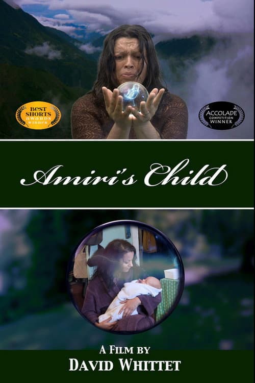 Poster for Amiri's Child