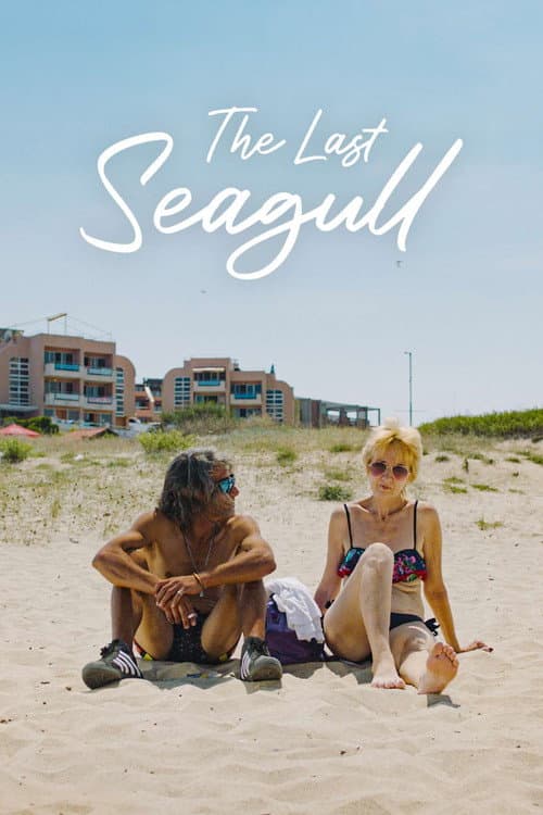 Poster for The Last Seagull