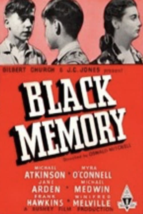 Poster for Black Memory