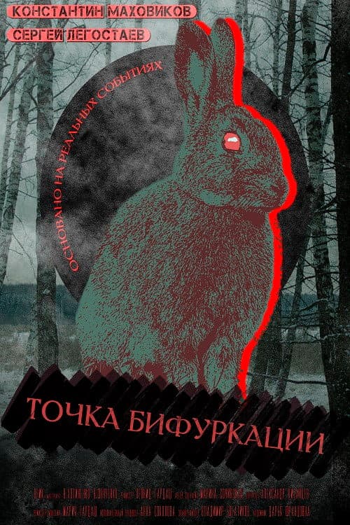Poster for Point Of Bifurcation
