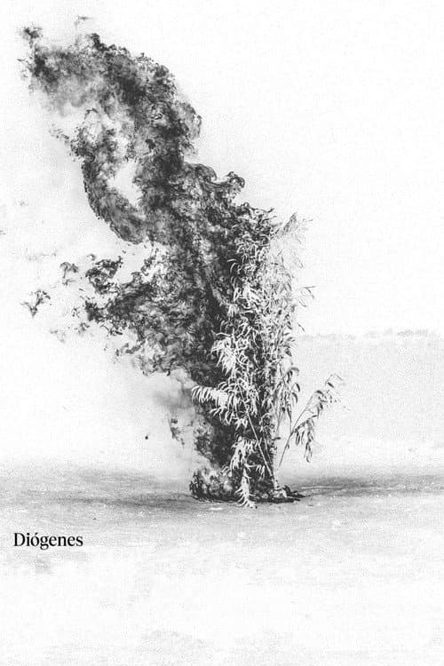 Poster for Diógenes