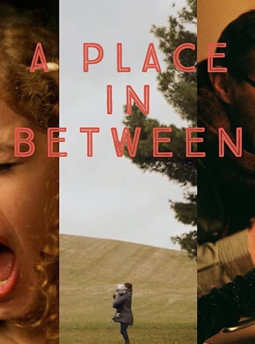 Poster for A Place in Between