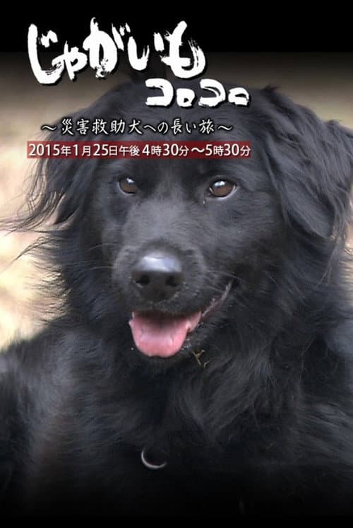 Poster for Jagaimo Korokoro ~ Saigai Kyūjo Inu e no Nagai Tabi