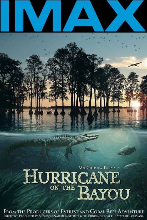 Poster for Hurricane on the Bayou