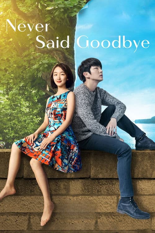 Постер до фільму «Never Said Goodbye»