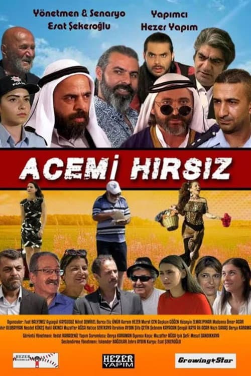 Poster for Acemi Hırsız