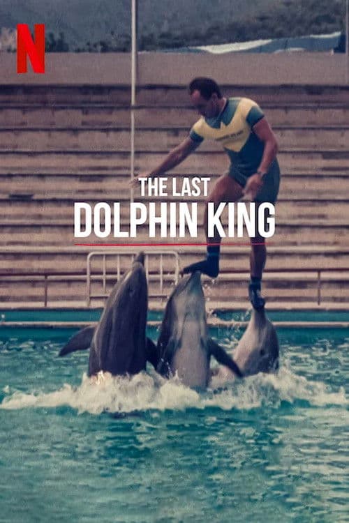Poster for The Last Dolphin King