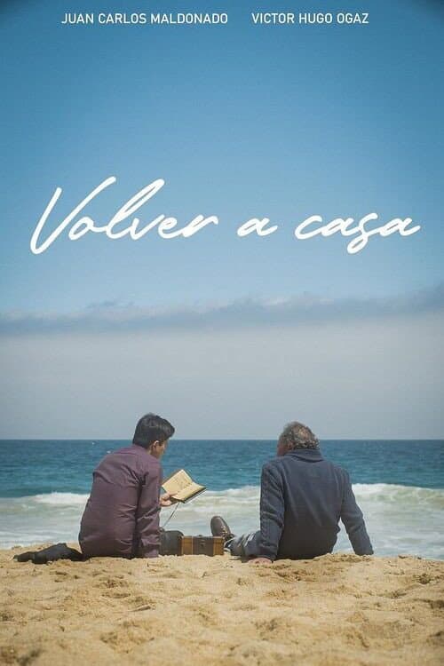 Poster for Volver a casa
