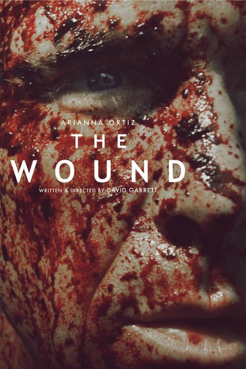 Poster for The Wound