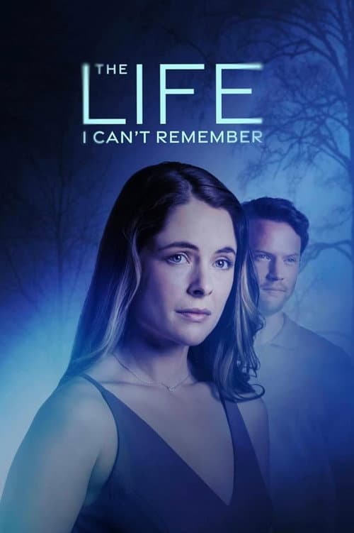 Poster for The Life I Can't Remember