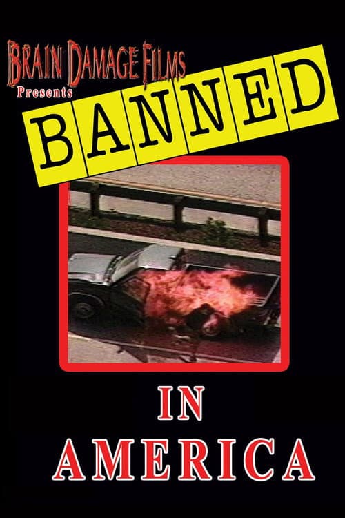 Poster for Banned! In America I