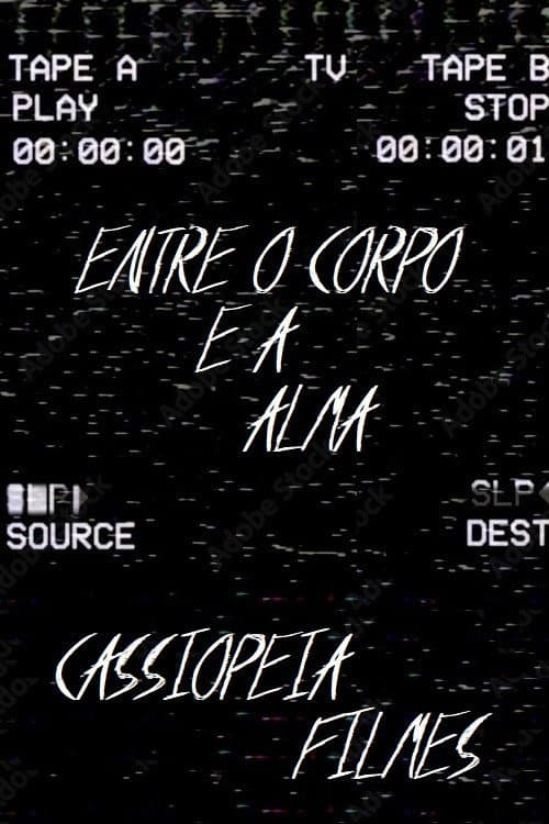 Poster for The last VHS