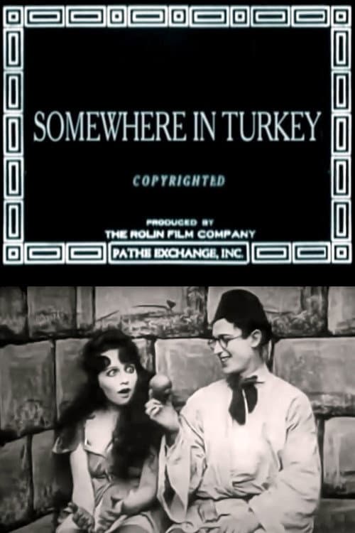 Poster for Somewhere in Turkey