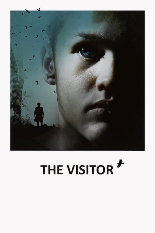 Poster for The Visitor