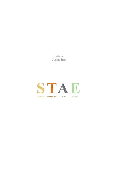 Poster for STAE