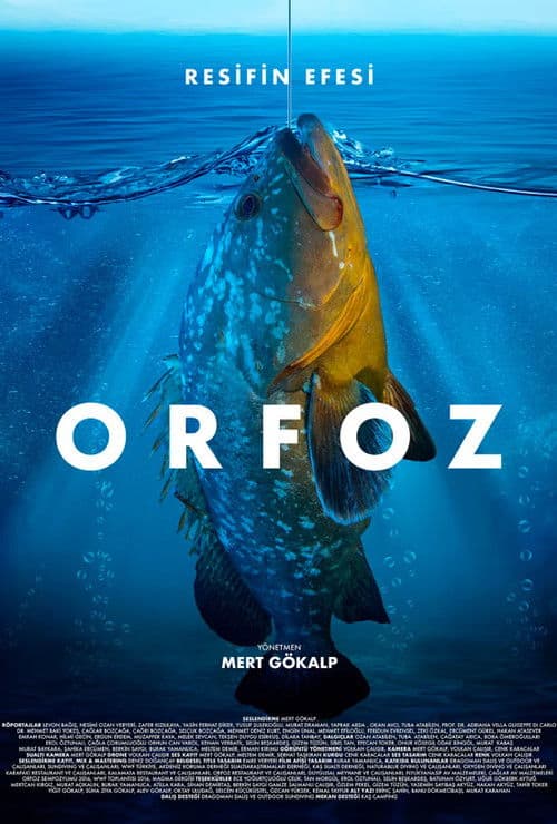 Poster for Orfoz: Resifin Efesi